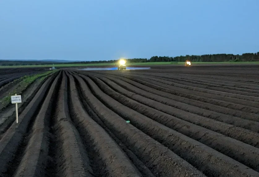 Making Informed Decisions: To Spray or Not to Spray? Optimizing Agricultural Practices for Sustainable Crop Protection