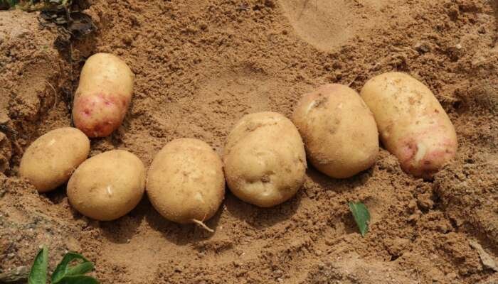 photo_5989938563153771282_y